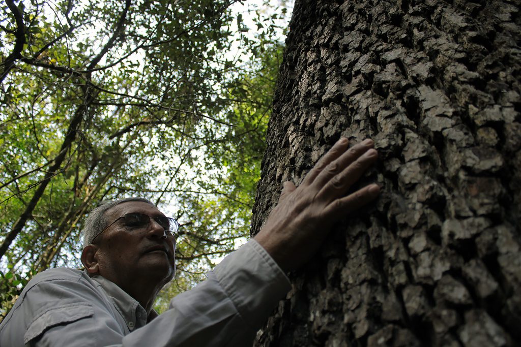 “Fabriciano, el pan de la escultura”, el homenaje de la Fundación Urunday