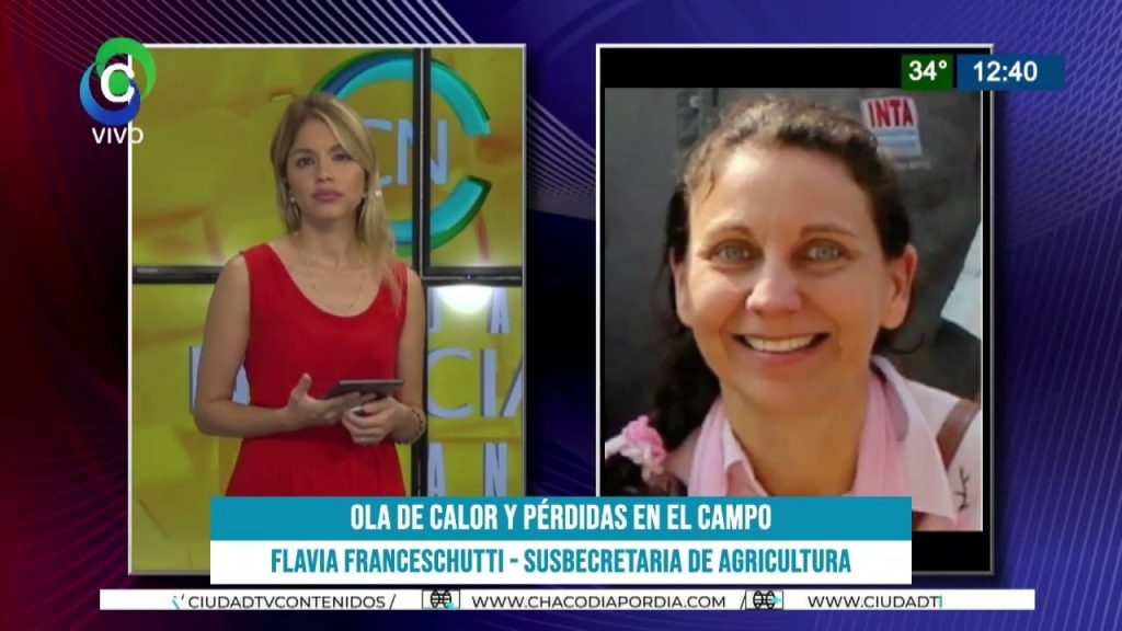 Emergencia por ola de calor y pérdidas en el campo chaqueño
