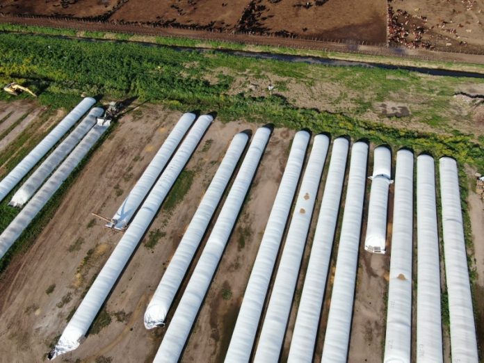 La AFIP reclama más de .000 millones a productores agrícolas por subdeclaración de granos La AFIP reclama más de .000 millones a productores agrícolas por subdeclaración de granos
