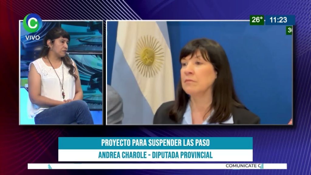 Bloque CER busca consenso legislativo por la suspensión de las PASO