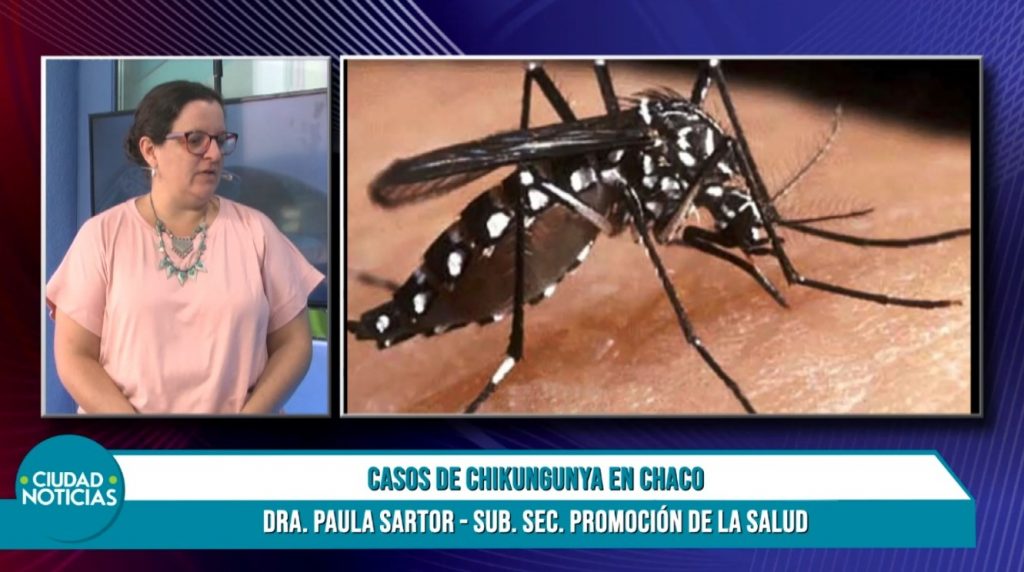 Ya son cuatro los casos confirmados de chikungunya en Chaco, todos importados