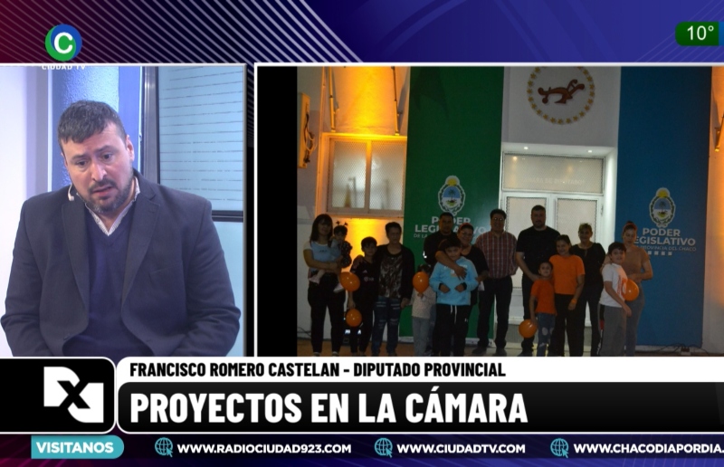 Una ley para concienciar sobre el TDHAH: “No solo tienen derechos sino que tienen que ejercerlos y hay gente que los acompaña” Una ley para concienciar sobre el TDHAH: “No solo tienen derechos sino que tienen que ejercerlos y hay gente que los acompaña”