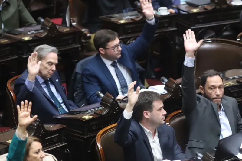 Diputados rechazó el DNU que ampliaba los fondos reservados para la SIDE Diputados rechazó el DNU que ampliaba los fondos reservados para la SIDE