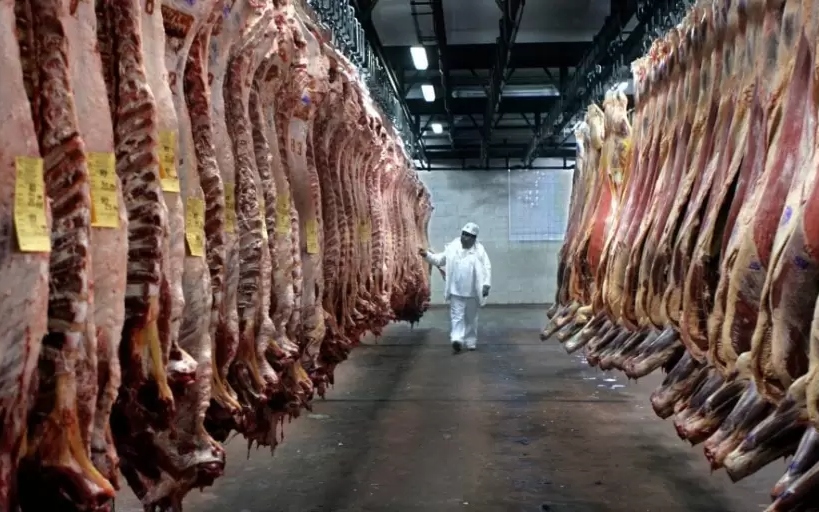 Carne: las exportaciones alcanzaron el volumen más alto en 57 años, pero el consumo no mejora Carne: las exportaciones alcanzaron el volumen más alto en 57 años, pero el consumo no mejora