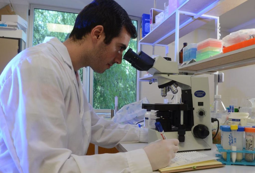 Preocupación por reforma en el CONICET: plantean eliminar la carrera de Investigador Científico Preocupación por reforma en el CONICET: plantean eliminar la carrera de Investigador Científico