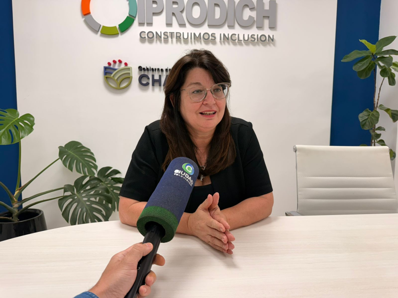 Pensiones por discapacidad: “Desde este viernes va a ser efectiva la devolución”, afirmó Mitoire, titular del IPRODICH Pensiones por discapacidad: “Desde este viernes va a ser efectiva la devolución”, afirmó Mitoire, titular del IPRODICH