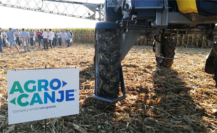 Agrocanje: el campo empezó a comprar propiedades con granos y le retacea los dólares a Caputo Agrocanje: el campo empezó a comprar propiedades con granos y le retacea los dólares a Caputo