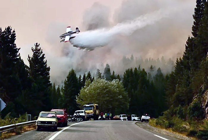 Chubut apunta a una “intención criminal” detrás de los incendios forestales: “El daño es inconmensurable” Chubut apunta a una “intención criminal” detrás de los incendios forestales: “El daño es inconmensurable”