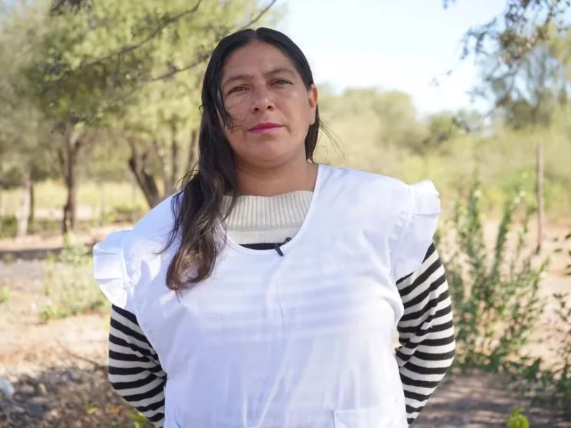 Eligen a una maestra chaqueña entre las mejores 10 del mundo y puede ganar un premio de un millón de dólares Eligen a una maestra chaqueña entre las mejores 10 del mundo y puede ganar un premio de un millón de dólares