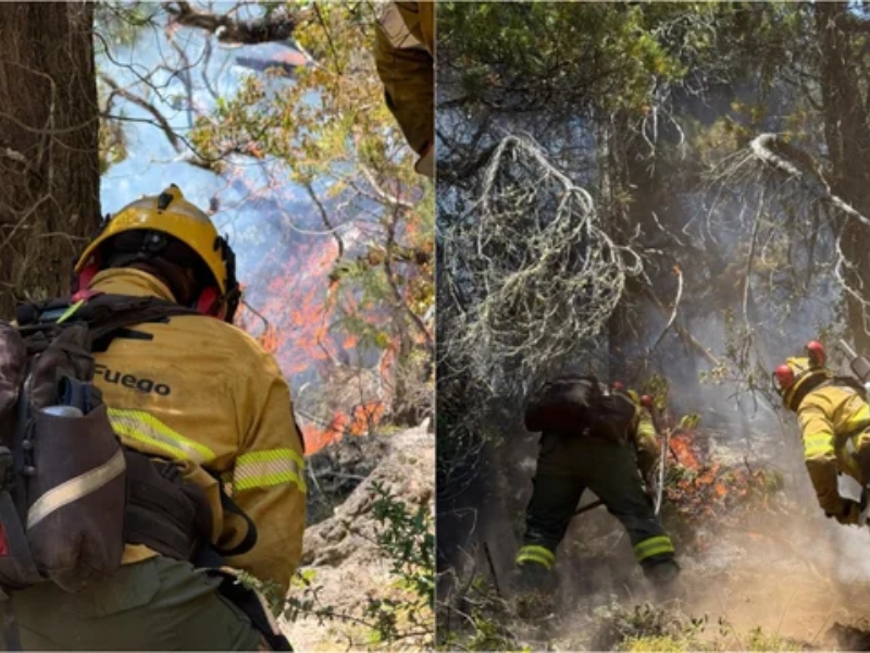 El Gobierno Nacional desplegó casi 300 brigadistas y 15 medios aéreos por los incendios en el sur El Gobierno Nacional desplegó casi 300 brigadistas y 15 medios aéreos por los incendios en el sur