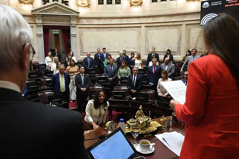 El Senado eligió autoridades y el oficialismo dejó sin vicepresidencia al peronismo El Senado eligió autoridades y el oficialismo dejó sin vicepresidencia al peronismo