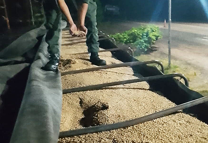 Contrabando: incautan en Corrientes más de 30 toneladas de soja sin documentación Contrabando: incautan en Corrientes más de 30 toneladas de soja sin documentación