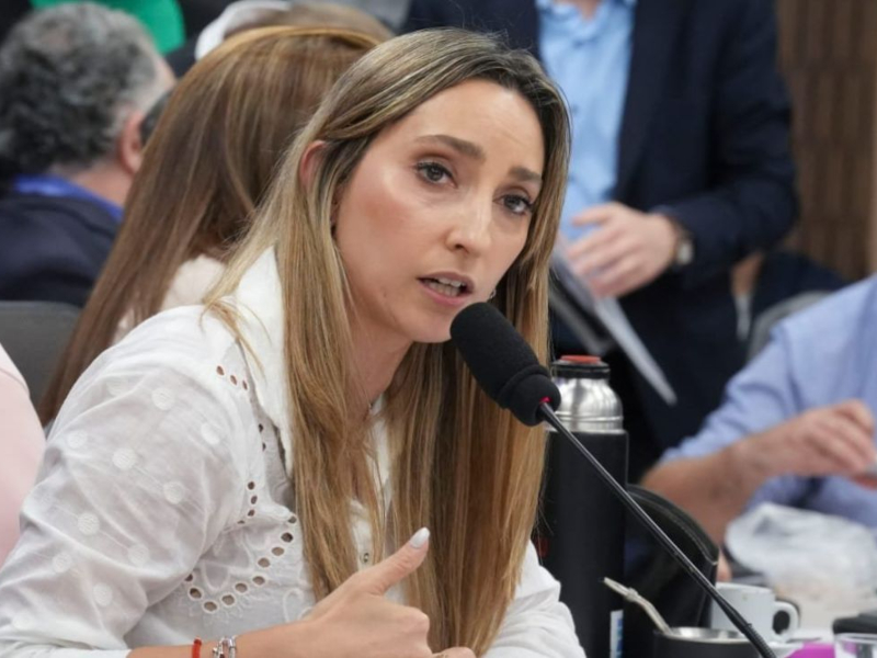 La diputada y economista Julia Strada denunció una estafa financiera que usó su identidad en redes sociales La diputada y economista Julia Strada denunció una estafa financiera que usó su identidad en redes sociales