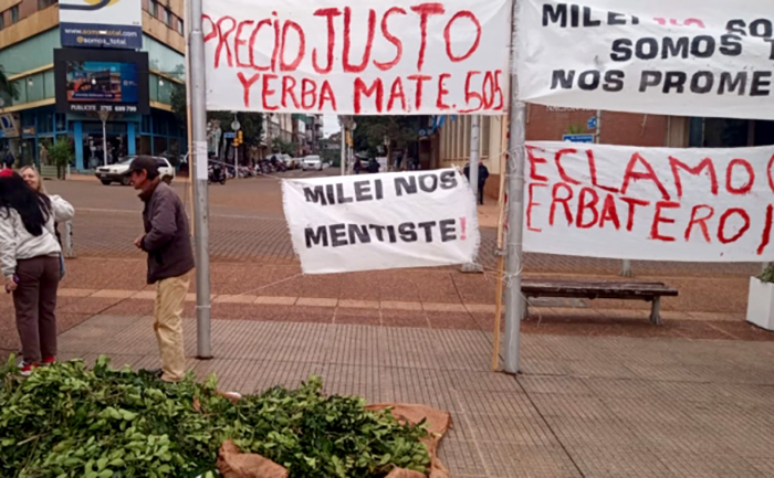 Yerba mate: tras dos años de pasividad, gobierno de Misiones reclamó que vuelvan a fijar precios de referencia Yerba mate: tras dos años de pasividad, gobierno de Misiones reclamó que vuelvan a fijar precios de referencia