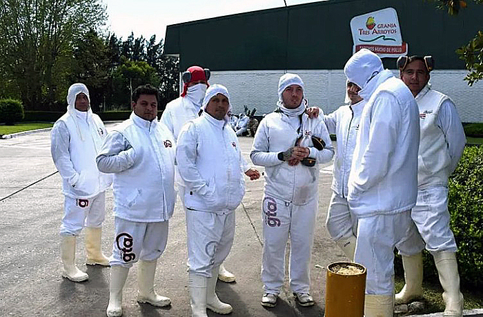 La avícola Granja Tres Arroyos quedó al borde del cierre por la importación de pollo brasileño La avícola Granja Tres Arroyos quedó al borde del cierre por la importación de pollo brasileño