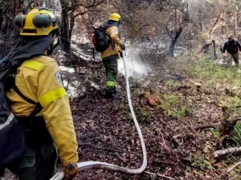 Chubut: la Justicia interviene por “intencionalidad manifiesta” en los últimos focos de incendio Chubut: la Justicia interviene por “intencionalidad manifiesta” en los últimos focos de incendio