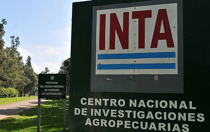 El INTA aprobó plan de retiros voluntarios y Milei podrá avanzar con el despido del 26% de la planta del organismo El INTA aprobó plan de retiros voluntarios y Milei podrá avanzar con el despido del 26% de la planta del organismo