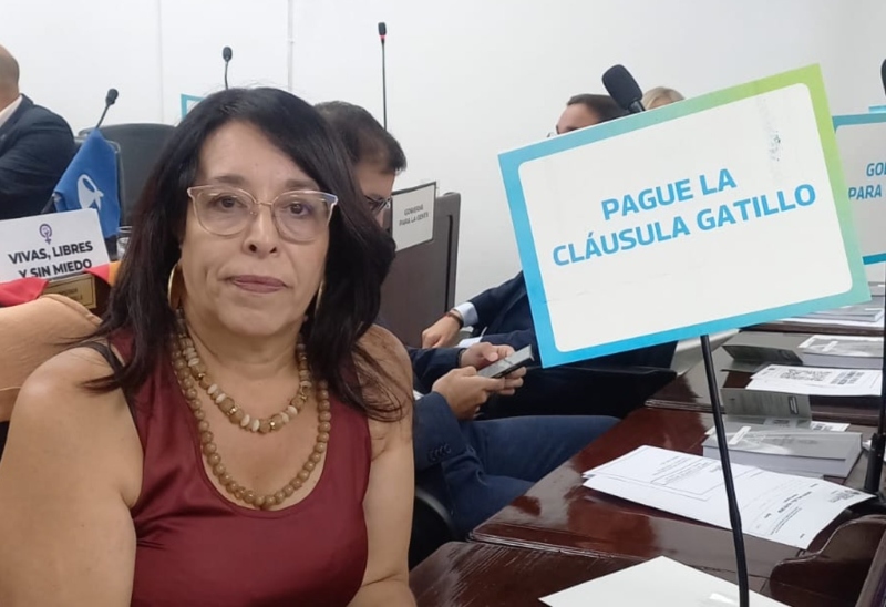 Analía Flores: “El gobernador Zdero consolidó su modelo de cambio, con ajuste y sin diálogo” Analía Flores: “El gobernador Zdero consolidó su modelo de cambio, con ajuste y sin diálogo”