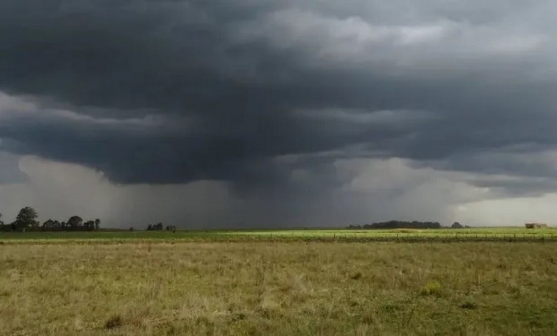 Lluvias desparejas y riesgo de excesos: el clima vuelve a marcar la definición de la cosecha Lluvias desparejas y riesgo de excesos: el clima vuelve a marcar la definición de la cosecha