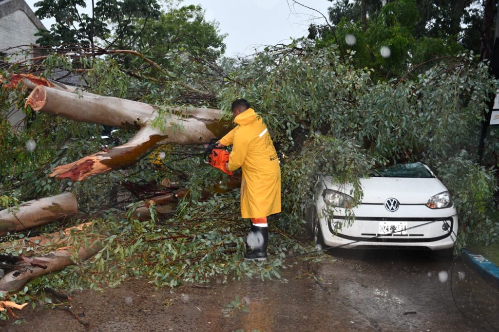 Tormenta en Resistencia: cayó un árbol y destruyó un auto estacionado Tormenta en Resistencia: cayó un árbol y destruyó un auto estacionado