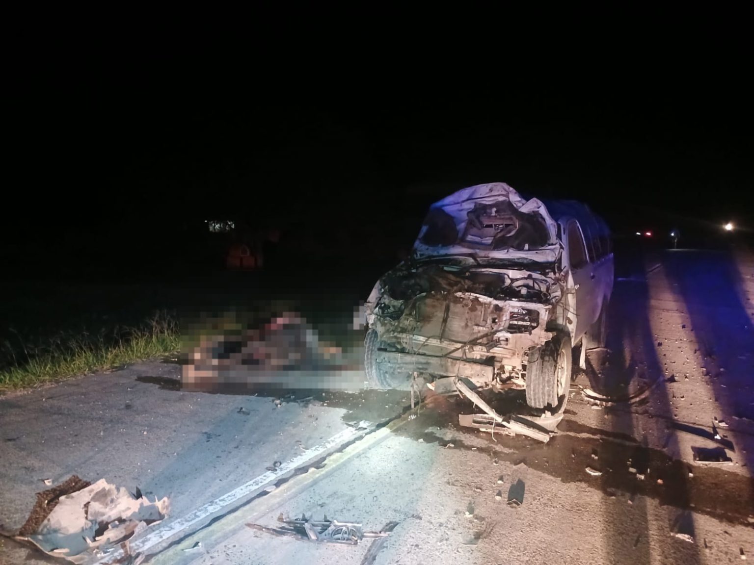 Animales sueltos casi provocaron una tragedia en Colonias Unidas