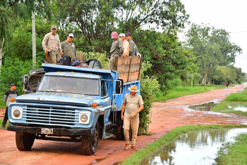 Intensas lluvias y ráfagas de viento provocaron caída de árboles en Castelli Intensas lluvias y ráfagas de viento provocaron caída de árboles en Castelli