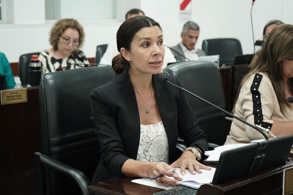 Reforma electoral, en debate: “Tenemos que dejar de ser los mismos de siempre”, afirmó Katia Blanc