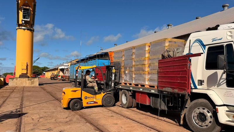El Puerto de Barranqueras consolida su actividad con nuevos envíos de semillas de girasol El Puerto de Barranqueras consolida su actividad con nuevos envíos de semillas de girasol