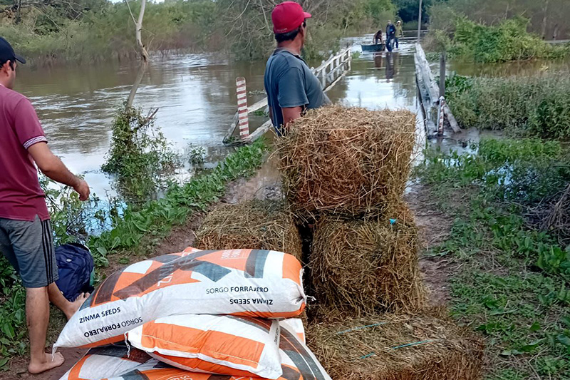 El Gobierno provincial asiste a productores afectados por la emergencia hídrica en El Espinillo El Gobierno provincial asiste a productores afectados por la emergencia hídrica en El Espinillo