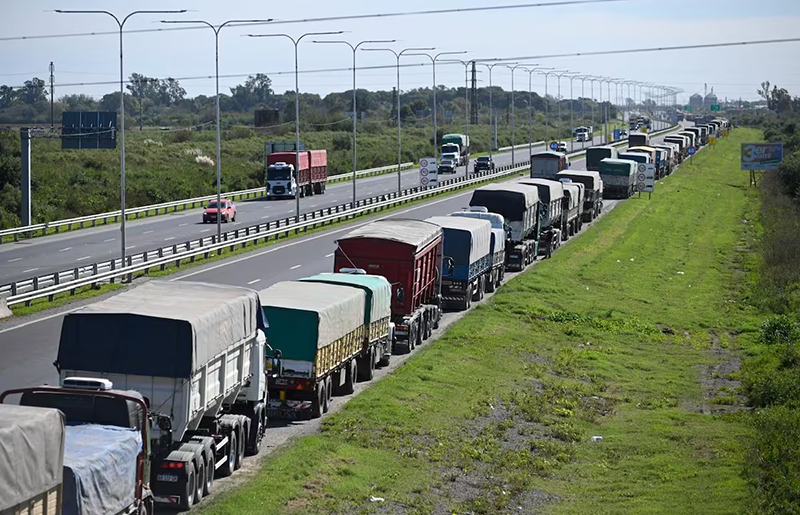 Cosecha récord: en lo que va de mayo llegó un 40% más de camiones a puertos cerealeros Cosecha récord: en lo que va de mayo llegó un 40% más de camiones a puertos cerealeros
