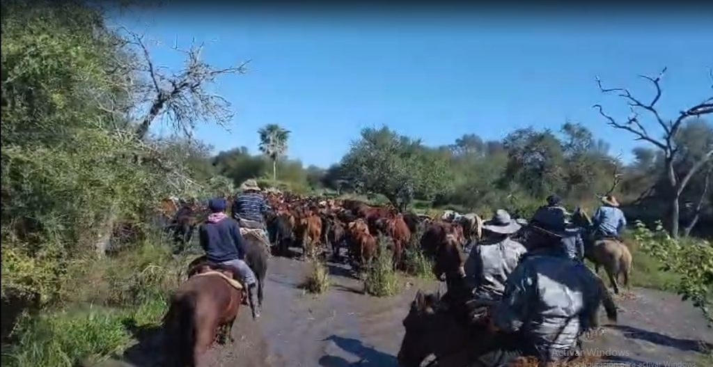 Finalizó un importante operativo de lucha contra el abigeato en la zona de La Sabana