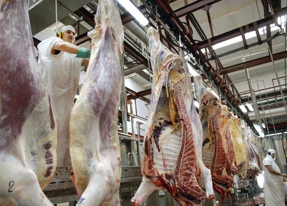 La faena vacuna cayó al nivel más bajo en décadas y el consumo de carne por habitante sigue en descenso La faena vacuna cayó al nivel más bajo en décadas y el consumo de carne por habitante sigue en descenso