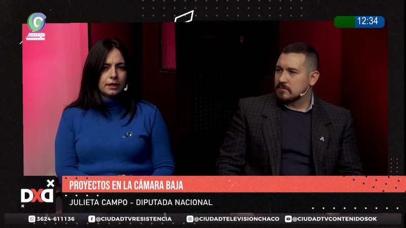 Julieta Campo cuestionó proyectos del oficialismo y pidió debatir alivio para familias endeudadas Julieta Campo cuestionó proyectos del oficialismo y pidió debatir alivio para familias endeudadas
