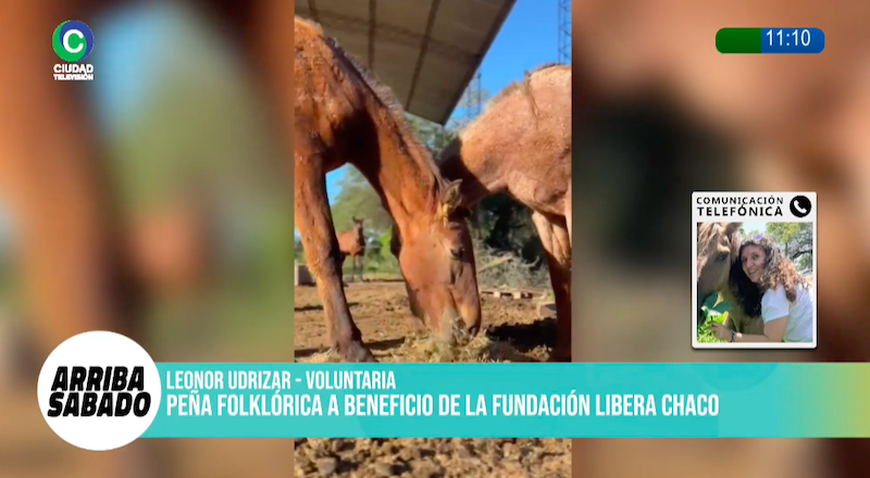 Libera Chaco organiza una peña solidaria: “Necesitamos desde manos hasta materiales” Libera Chaco organiza una peña solidaria: “Necesitamos desde manos hasta materiales”