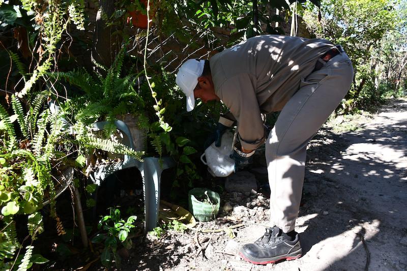 Realizan nuevo operativo sanitario de prevención del dengue en Resistencia Realizan nuevo operativo sanitario de prevención del dengue en Resistencia