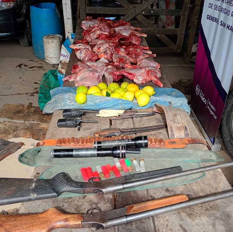 Secuestraron armas y animales silvestres faenados en un operativo rural cerca de General San Martín Secuestraron armas y animales silvestres faenados en un operativo rural cerca de General San Martín