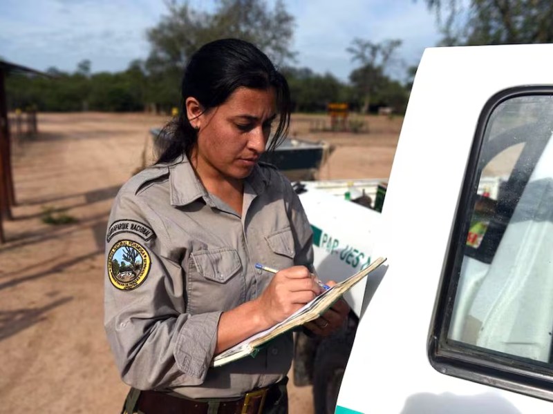 Más motosierra en Parques Nacionales: retiros voluntarios y áreas privatizadas en Iguazú Más motosierra en Parques Nacionales: retiros voluntarios y áreas privatizadas en Iguazú