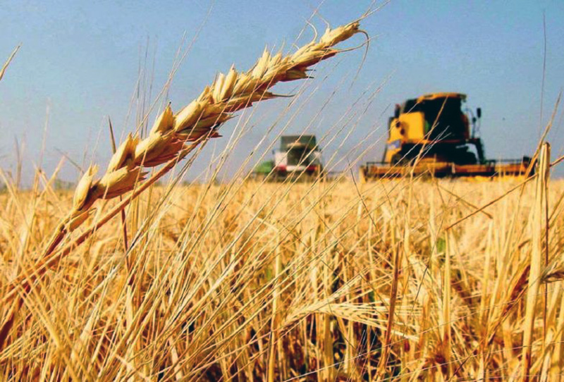 El Gobierno oficializó una reducción en las retenciones para el agro y los biocombustibles El Gobierno oficializó una reducción en las retenciones para el agro y los biocombustibles