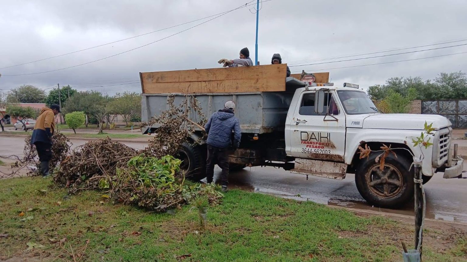 Refuerzan operativos de poda y limpieza en Juan José Castelli Refuerzan operativos de poda y limpieza en Juan José Castelli
