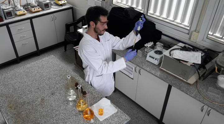 La ciencia argentina tiene premio: buscan ideas que revolucionen la salud y ofrecen millones La ciencia argentina tiene premio: buscan ideas que revolucionen la salud y ofrecen millones