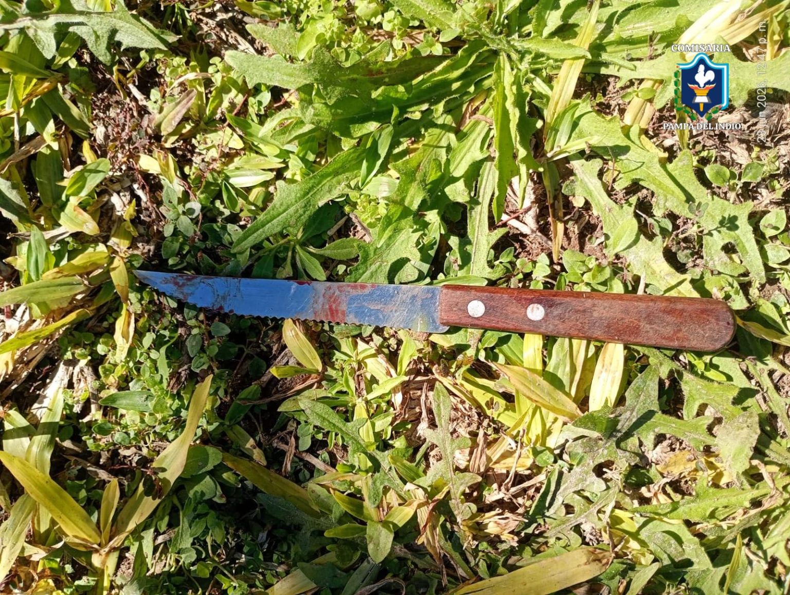 Pampa del Indio: detuvieron a una mujer investigada por un homicidio en el barrio Eva Perón Pampa del Indio: detuvieron a una mujer investigada por un homicidio en el barrio Eva Perón