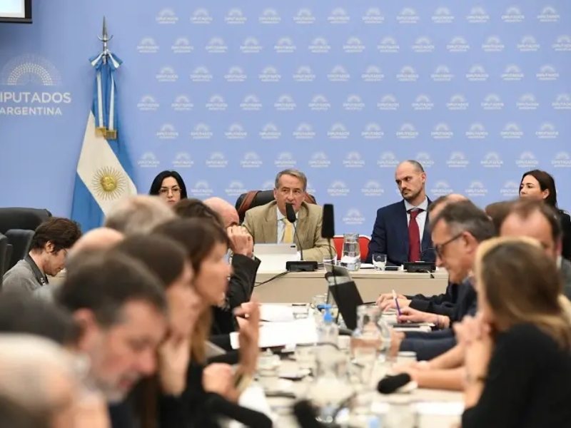 Desde AmCham hasta el CELS y FOPEA: fuertes críticas al proyecto del Gobierno para regular el lobby Desde AmCham hasta el CELS y FOPEA: fuertes críticas al proyecto del Gobierno para regular el lobby