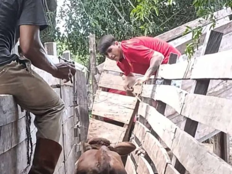 Detuvieron a un campesino en Jujuy por denuncia de Patricia Bullrich Detuvieron a un campesino en Jujuy por denuncia de Patricia Bullrich