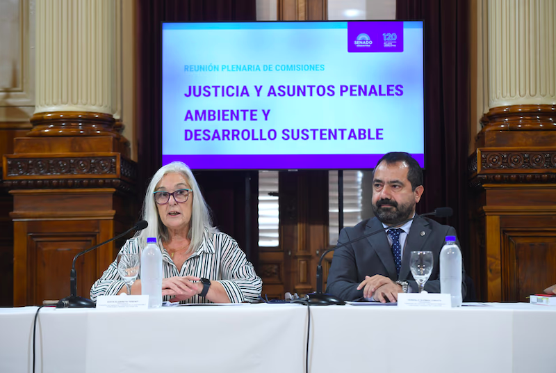 El Senado avanzó con un proyecto para penalizar con prisión delitos ambientales graves El Senado avanzó con un proyecto para penalizar con prisión delitos ambientales graves