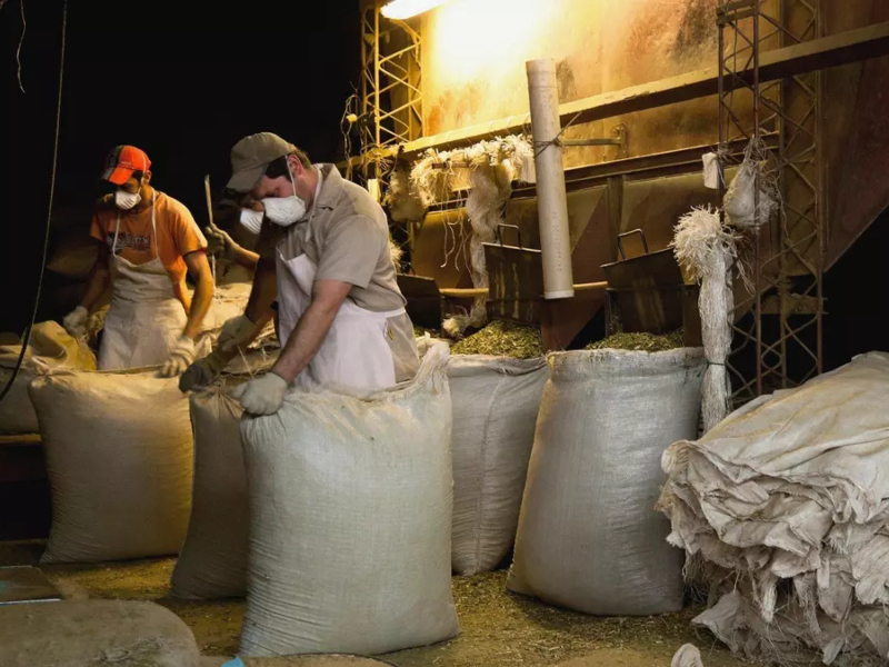 En los primeros dos años de Milei, el Norte y Cuyo despidieron más empleo privado formal que el AMBA En los primeros dos años de Milei, el Norte y Cuyo despidieron más empleo privado formal que el AMBA