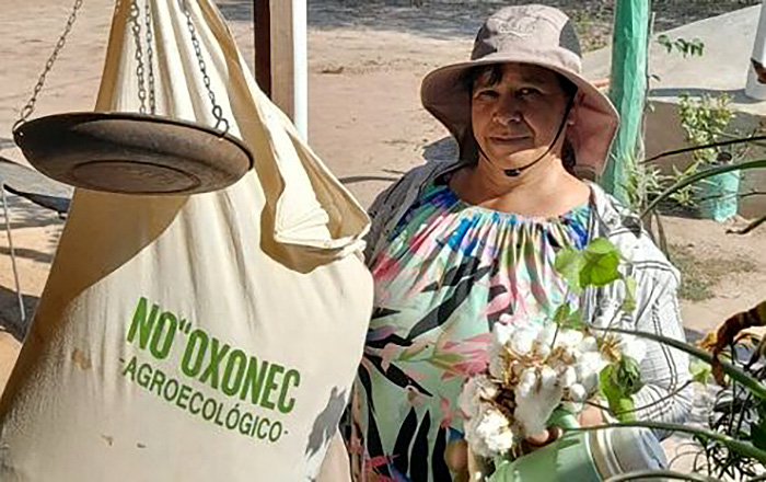Chaco y confección: No’oxonec, única experiencia argentina de algodón agroecológico industrializado Chaco y confección: No’oxonec, única experiencia argentina de algodón agroecológico industrializado