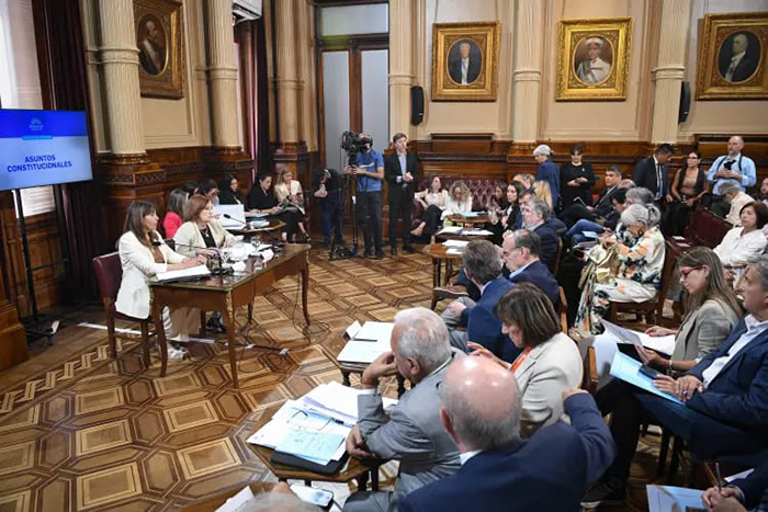 El Senado tratará en comisiones el proyecto de Súper RIGI el próximo miércoles El Senado tratará en comisiones el proyecto de Súper RIGI el próximo miércoles