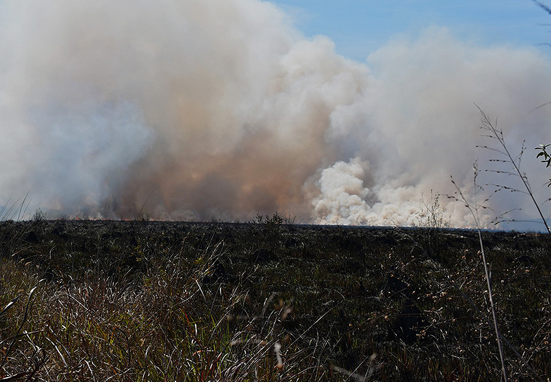 Incendio de gran magnitud casi afectó un local comercial y el Parque Caraguatá Incendio de gran magnitud casi afectó un local comercial y el Parque Caraguatá