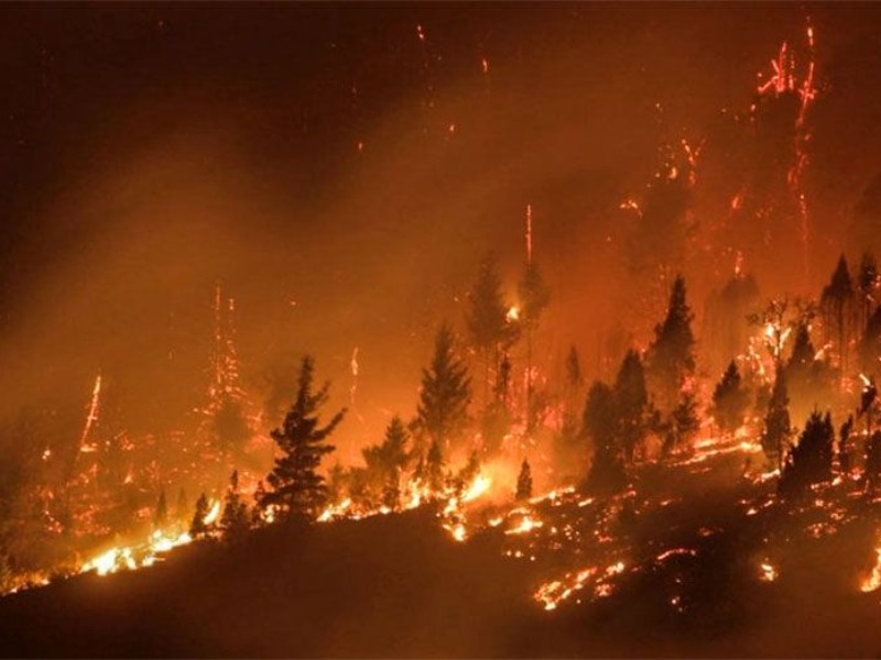 Cambio climático, pérdida de biodiversidad, retrocesos y desigualdad social: en el mundial del Ambiente, Argentina pierde por goleada Cambio climático, pérdida de biodiversidad, retrocesos y desigualdad social: en el mundial del Ambiente, Argentina pierde por goleada