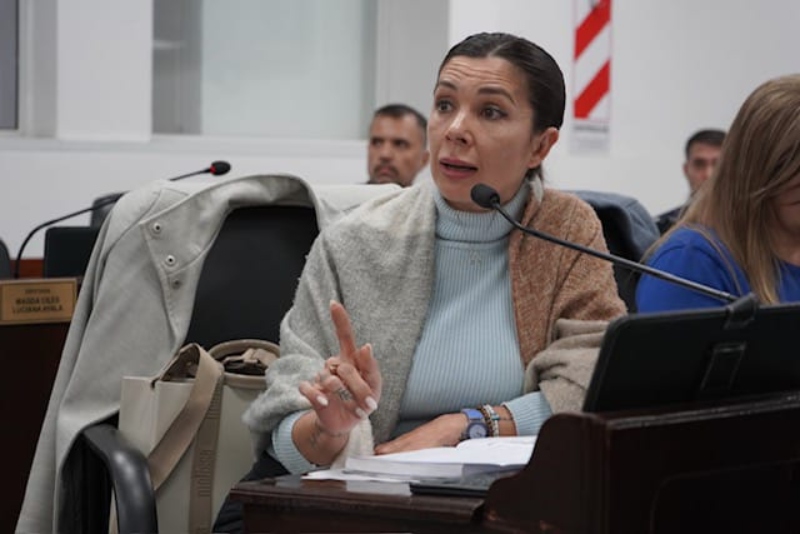 Crisis en el transporte público: convocaron al Gobierno y a las empresas a la Comisión de Industria del Parlamento Crisis en el transporte público: convocaron al Gobierno y a las empresas a la Comisión de Industria del Parlamento